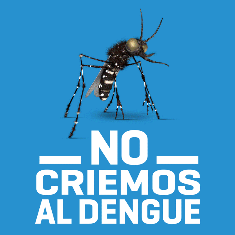 800x800-DENGUE